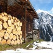 firewood-for-wood-heating-system