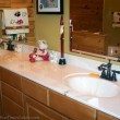 A log home bathroom in Lascassas, TN