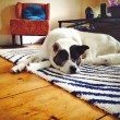 rug-on-hardwood-floor