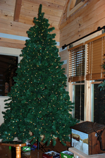 bare-christmas-tree-inside-log-home.jpg