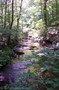 This is a pretty big creek for Williamson County.