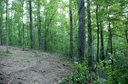 final-view-of-homesite-from-top-of-driveway2.jpg