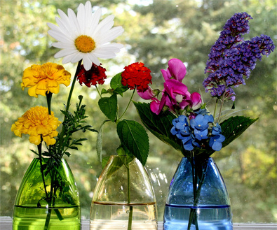 fresh-flowers-by-DianthusMoon.jpg