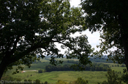 life-in-the-country.jpg