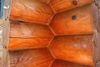 logs-after-staining.jpg