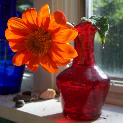 orange-flower-red-vase-windowsill-by-spryngtree.jpg