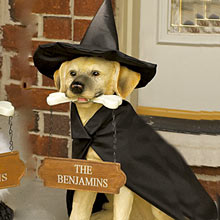seasonal-costumes-for-dog-yard-art.jpg