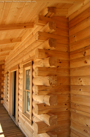 solid-log-walls.jpg