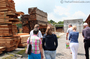 stacks-of-wood.jpg