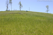 view-of-jeep-from-midway-down-the-hill.jpg