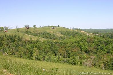 view-of-log-cabins-from-our-property.jpg