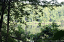 Here's the water view from this property... lovely.