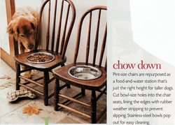 dog-food-bowls-made-from-chairs.jpg