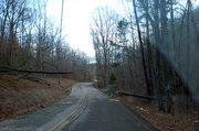 downed-trees-and-power-lines.jpg