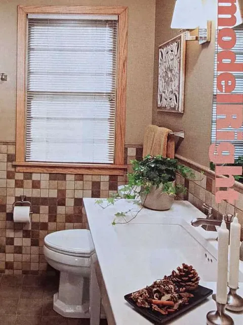 This is the type of large bathroom sink we plan to have in our master bathroom (on the "dry" side of that floating wall) -- as seen in Family Handyman magazine, February 2007.