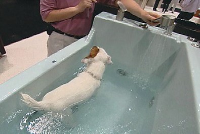 Jentle Pet Bathtub For Dogs + Super Luxurious Bath Tubs ...