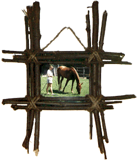 rustic-stick-picture-frame.GIF