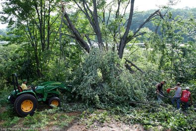 tree-crew-removing-storm-damaged-tree.jpg